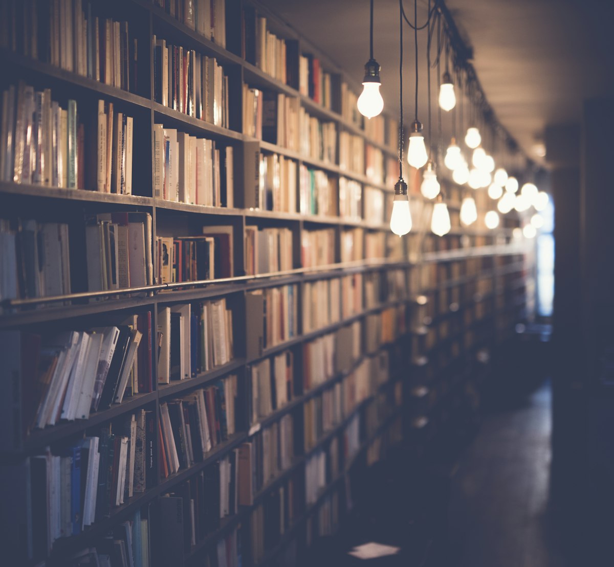 Students to Earn Money: 3 Side Hustles That Build Real Skills — Side Hustles for Students & Beginners guide cover